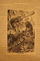 Scientific American One Full Year 1879 Fabulous Artwork Articles Advertisements Other photo 7