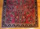 Antique 1920s Sarouk Oriental Wool Rug,  Fine Quality,  Clean Condition Medium (4x6-6x9) photo 1