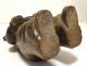 Handcarved Wood Rabbit Paper Mache Mold/sculpture Primitives photo 5