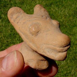 Effigy Head: Animal,  Chupicuaro Pre - Columbian,  Western Mexico photo