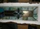 Antique Stained Glass Window In Wood Frame Facuet Cut Opalescent Buttons Pre-1900 photo 3