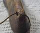 Vintage Wooden Shoe Form,  Old Primitives photo 4