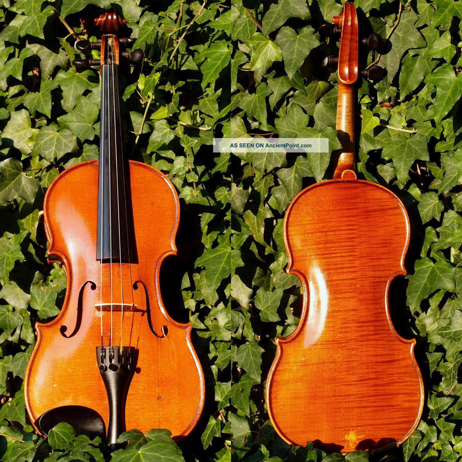 Czech Concert 3/4 Violin - Ladislav F.  Prokop 1930 String photo