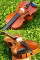 Czech Concert 3/4 Violin - Ladislav F.  Prokop 1930 String photo 6