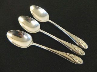 Of 3 Vtg Estate Gorham Lily Of The Valley Sterling Silver Teaspoon No Mono photo