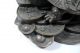 A279 Vintage Chinese Bronze Money Dragon Statue Dragons photo 5