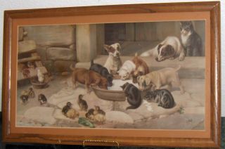 Antique Print Victorian Dog Puppy Cat Kitten Chicks Chicken Milk Courtyard Farm photo