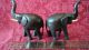 Two Vintage Hand Carved Teak Elephants With Ivory Tusks & Eyes Made In Tanzania Sculptures & Statues photo 3