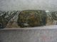 Scrimshaw Leg Bone Signed By Artist Elephant Rhino Lion Bison Panther 2.  2 Foot Sculptures & Statues photo 2