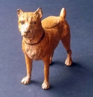 Scarce German Or Austrian Cold - Painted Lead Dog (terrier) Pin Cushion,  Ca.  1890 photo