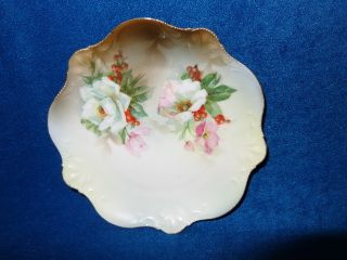 Vintage R S Germany Hand Painted 6 