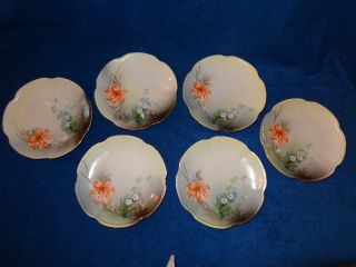 Set Of 6 Vintage R S Germany Hand Painted Desert Plates Blue Flowers Orange Lily photo