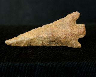 Neolithic Neolithique Jasper Arrowhead - 6500 To 2000 Before Present - Sahara photo