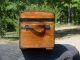 Small Size Antique Trunk Awesome Restoration Tray Circa 1860 ' S 1870 ' S Other photo 2