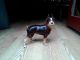 Antique Hubley Boston Terrier - Rare Brown - Large Cast Iron Dog Doorstop Metalware photo 3