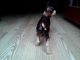 Antique Hubley Boston Terrier - Rare Brown - Large Cast Iron Dog Doorstop Metalware photo 6