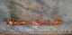 Antique Victorian Hand Painted Leather Pencil Case Souvenier Of Pa Primitives photo 3