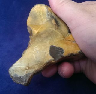 British Palaeolithic Flint Tool From Dorset Engalnd photo
