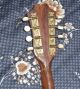 Antique C1930 Mascagni Fratelli Mandolin / Banjo Fabbrica Italian Napoli Musical Instruments (Pre-1930) photo 1