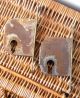 Job Of Vintage French Jpm Door Mortice Locks,  Reclamation Locks & Keys photo 7