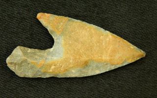 Neolithic Neolithique Quartzite Fish Spear Point - 6500 To 2000 Bp - Sahara photo