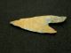 Neolithic Neolithique Quartzite Fish Spear Point - 6500 To 2000 Bp - Sahara Neolithic & Paleolithic photo 2