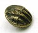 Antique Brass Picture Button Bear Paw With Claws Extended Buttons photo 1