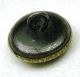 Antique Brass Picture Button Bear Paw With Claws Extended Buttons photo 2