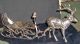 Rare Antique Vintage Silverplate Deer Carriage Sauce Dish 20in Long Sauce Boats photo 1