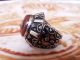 Antique Islamic Ethnic Middle Eastern Red Agate Men Ring Aqeeq Jewelry Cincin Islamic photo 5