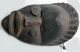 Dan African Very Fine Bassa Artifact Danced Wood Face Mask Ancestral Ethnix Other photo 9