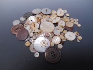 Buttons Mother Of Pearl Shell Victorian And Vintage Of 122 photo