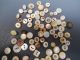 Buttons Mother Of Pearl Shell Victorian And Vintage Of 122 Buttons photo 4