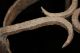 Antique Forged Iron Hand Wrought Fireplacetrivet; 18th Century Kettle Stand Old Primitives photo 11