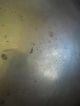 Antique Architectural Home Decor Decorative Collectibles Metalware Bowl Brass Metalware photo 11