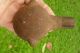 18 Century Slave Artifact Boston Harbor Dive Find Plus Extra Primitives photo 3