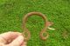 18 Century Slave Artifact Boston Harbor Dive Find Plus Extra Primitives photo 7