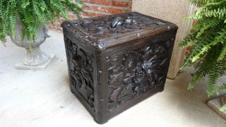 Large French Antique Black Forest Carved Wood Box Chest Fireplace Coal Hod photo