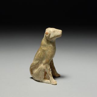 Antique Chinese Tang Dynasty Mastiff Dog Figure - 618 Ad photo