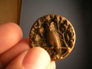 Rare Victorian Owl Button Metal photo
