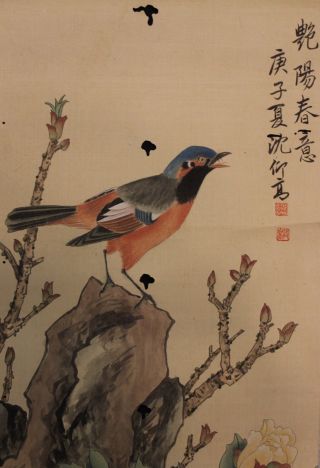 Old Painting Of Colorful Bird On Silk And Paper photo