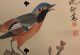 Old Painting Of Colorful Bird On Silk And Paper Paintings & Scrolls photo 1