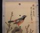 Old Painting Of Colorful Bird On Silk And Paper Paintings & Scrolls photo 4