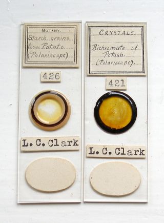 Pair Of Early Polar Microscope Slides By L.  Charles Clark photo