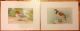 1 Set Of 20 Vtg Antique Chromo - Lithograph Bird & Duck Prints By John L.  Ridgway Other photo 4