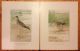 1 Set Of 20 Vtg Antique Chromo - Lithograph Bird & Duck Prints By John L.  Ridgway Other photo 5