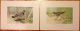 1 Set Of 20 Vtg Antique Chromo - Lithograph Bird & Duck Prints By John L.  Ridgway Other photo 6