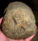 Antique 18th Century Revolutionary War Era Primitive Burl Hammer / Masher Vafo Primitives photo 6