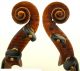 Excellent Antique Italian Violin - Condition,  Ready To Play String photo 3