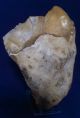 British Large Heavy Lower Palaeolithic Flint Tool From Dorset England Neolithic & Paleolithic photo 1